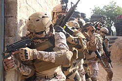 Indian Army and Egyptian Army during Exercise Cyclone