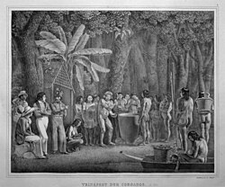 Travels in Brazil, in the years 1817-1820
