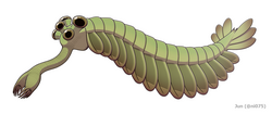 Opabinia made the largest single contribution to modern interest in the Cambrian explosion.