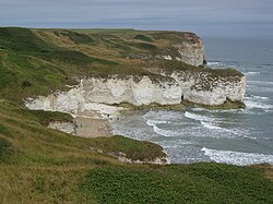 The Cretaceous chalk cliffs at Flamborough Head
