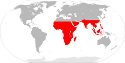 Extent of the Paleotropical kingdom