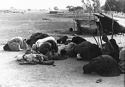 Tuaregs in prayer, 1973