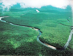 Orinoco in Mariusa National Park (Delta Amacuro)