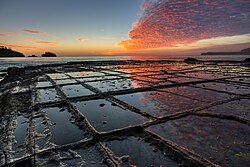 Tessellated pavement, a rare rock formation on the Tasman Peninsula
