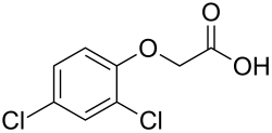 2,4-D, the first selective chemical herbicide, was discovered during the Second World War.