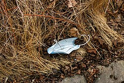 Surgical mask among dry grass in Brastad during the COVID-19 pandemic