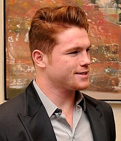 Canelo Álvarez is known as an excellent counterpuncher and being able to exploit openings in his opponents' guards while avoiding punches with head and body movement. He is also known as a formidable body puncher.[89][90]