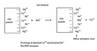 Sodium exchange process between ions adsorbed at the surface of clay particles and those in the soil moisture
