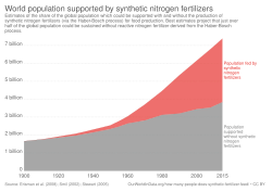 World population supported with and without synthetic nitrogen fertilizers.