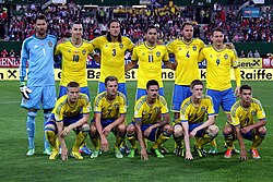 The Sweden national team before playing against Austria in 2013 during the 2014 FIFA World Cup qualifiers
