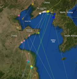 Migration paths and resting grounds of bar-tailed godwit at the Yellow Sea.[13]