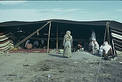 Bedouin camp in Saudi Arabia in the 1970s