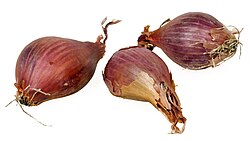 Shallot bulbs