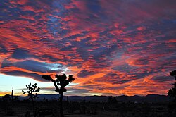 Red sunset twilight in Landers in the High Desert region of California