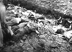 Prisoners lie on the ground before execution by South Korean troops near Daejon, South Korea, July 1950. Photo by US Army Maj. Abbott.[39]