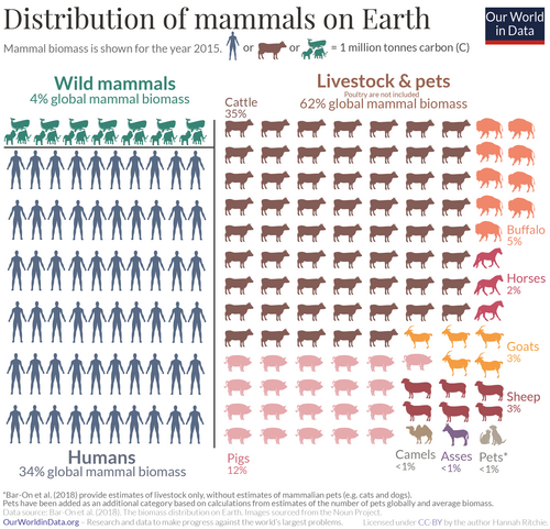 Humans and their domesticated animals represent 96% of all mammalian biomass on Earth, whereas all wild mammals represent only 4%.[142]