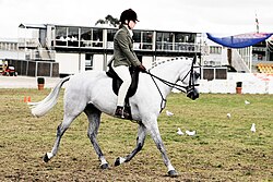A young rider at a horse show in Australia