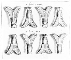 Drawing of golden bees or flies that was discovered in the tomb of Childeric I