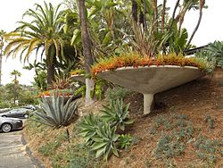 Landscaping in parking lot