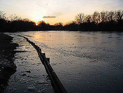 Connaught Water, an ornamental lake of 8 acres (3.2 ha) named after the Duke of Connaught, the first forest ranger[32]