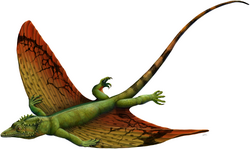 Weigeltisaurus, gliding weigeltisaurid reptile