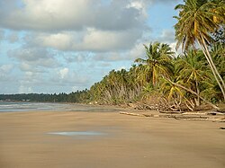 Mayaro Beach, in the southeastern area of Trinidad