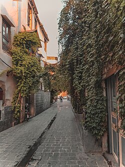 An alley in old Damascus