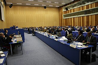 Experts during the 26th Session of the United Nations Group of Experts on Geographical Names (2–6 May 2011, United Nations Office, Vienna)