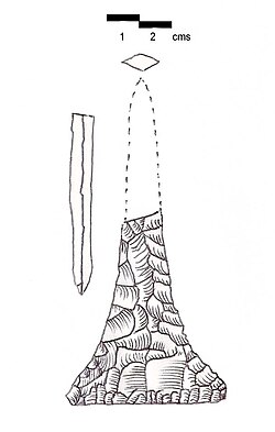 Minet ed Dhalia Point. Also called a "stylet". Discovered at Shemlan. White patinated flint.