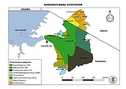 Serengeti Ecosystem