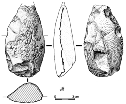 Simple Acheulean hand axe made from a large quartzite flake (direction of knapping: lateral)