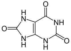 Lactam, a stable tautomer form of uric acid