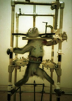 PETA distributed images of the monkeys with the caption, "This is vivisection. Don't let anyone tell you different."[12]