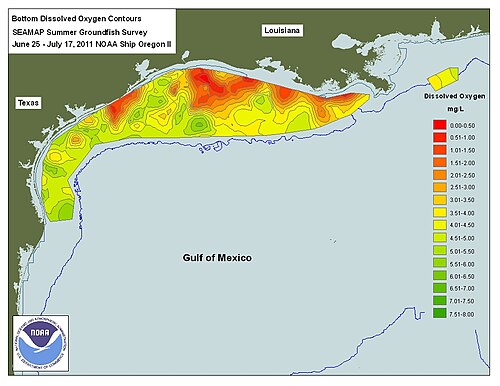 Dead zone in the gulf, along the northern coastline from Louisiana through Texas