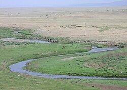 Mongolian steppe