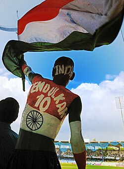 A supporter of the Indian cricket team