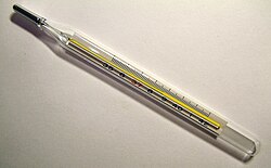 A medical mercury-in-glass maximum thermometer.