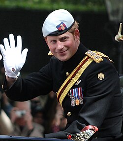 Harry at Trooping the Colour, June 2013