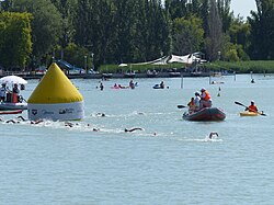 Swimmers must go around the yellow marked to count as a "lap"
