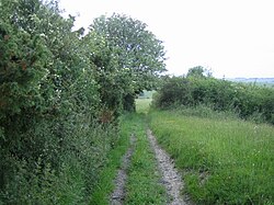A byway on Stockton Down