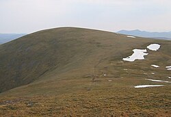 The mossy summit ridge of Ben Wyvis.
