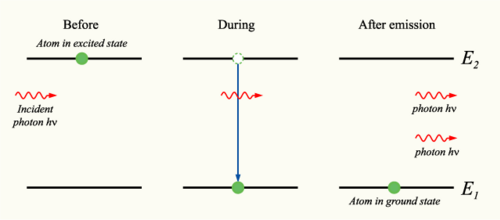 Stimulated emission (in which photons "clone" themselves) was predicted by Einstein in his kinetic analysis, and led to the development of the laser. Einstein's derivation inspired further developments in the quantum treatment of light, which led to the statistical interpretation of quantum mechanics.