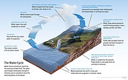 The Earth's water cycle