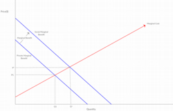 If individuals make the decision to immunize based on the Private Marginal Benefit we see a quantity of Q1 at the price P1 while the socially optimal point is at quantity Q* and price P*. The distance between the private and marginal benefit lines is the cost of the marginal benefit to society.