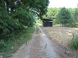 Although a non-indigenous species, the common pheasant is farmed even in conservation areas, as seen here in Litovelské Pomoraví Protected Landscape Area in the Czech Republic.