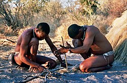 Starting fire by hand. San people in Botswana.