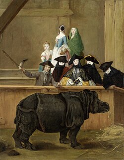 Clara the rhinoceros in Venice, by Pietro Longhi, 1751.