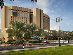 The Dubai Hospital