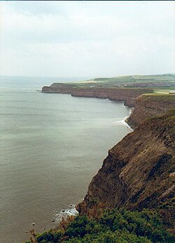 The Jurassic strata of Boulby Cliff