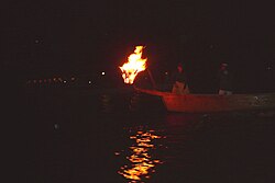 Cormorant fishing in Nagara River